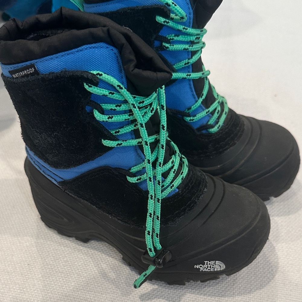 The North Face Black and Blue Boots with Green Laces